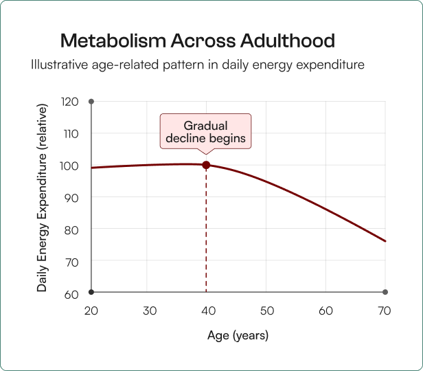 Why can weight management feel harder over time?