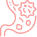 Digestion lente