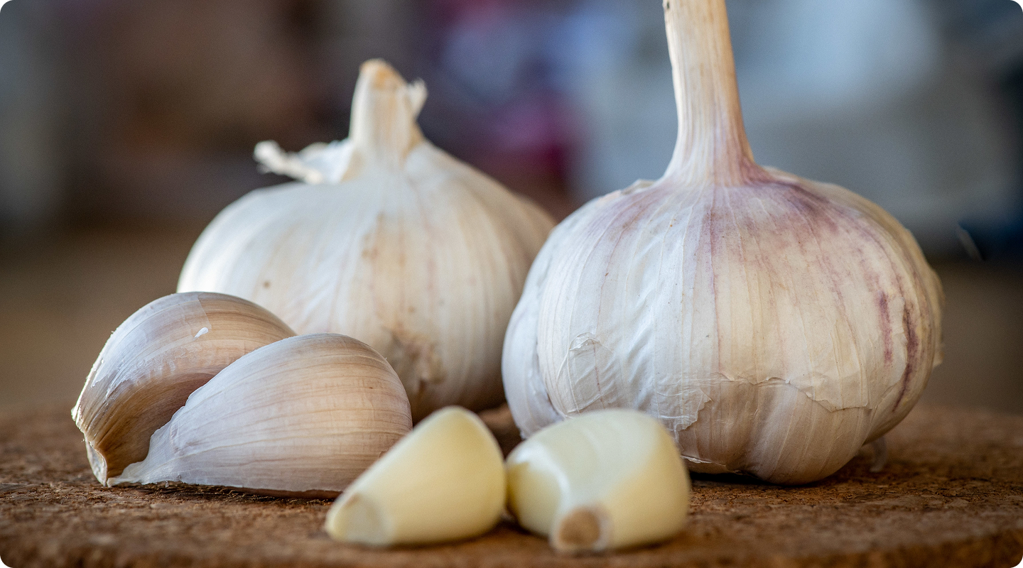 Aged Garlic Extract